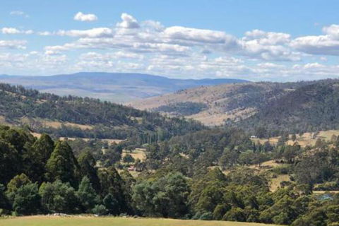 Sassafras Springs - Tourism Brisbane 6