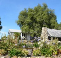 Sassafras Springs - Brisbane 4u