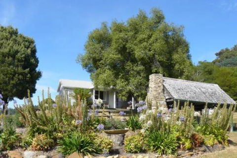 Sassafras Springs - Tourism Brisbane 0