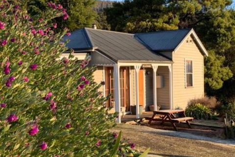 Sassafras Springs - Tourism Brisbane 5