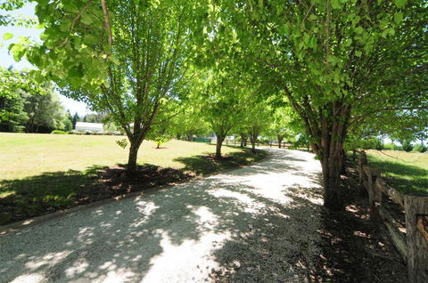 Daisy Cottage - Tourism Brisbane 7