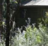 Twin Falls Bush Cottages - Tourism Brisbane