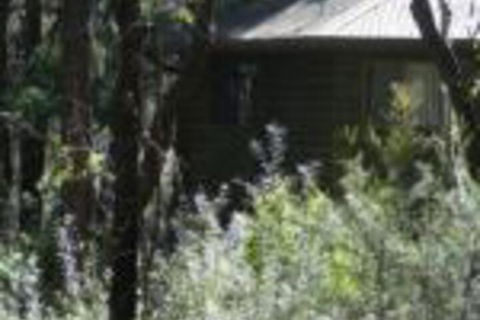 Twin Falls Bush Cottages - Tourism Brisbane 0