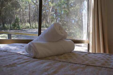 Twin Falls Bush Cottages - Tourism Brisbane 5
