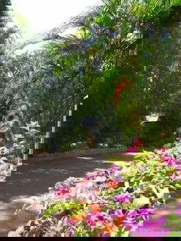 Ivanhoe Village Caravan Resort - Tourism Brisbane 2