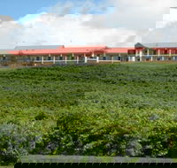 Turners Vineyard Motel and Function Centre - Brisbane 4u