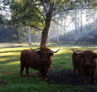Dingley Dell - Brisbane 4u