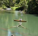 Figtree Getaway - Brisbane 4u