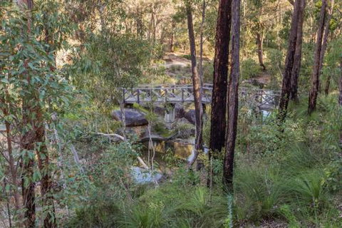 Lavenderpatch - Brisbane Tourism 2