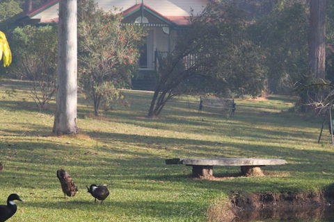 Telegraph Retreat Cottages - Brisbane Tourism 6