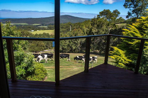 Celestine Retreat - Brisbane Tourism 3