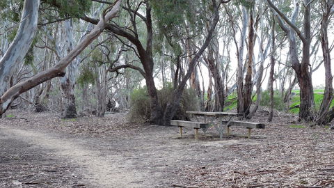 Loddon River Motel - Brisbane Tourism 2
