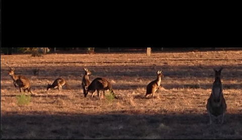 Busselton Guest House - Tourism Brisbane 3