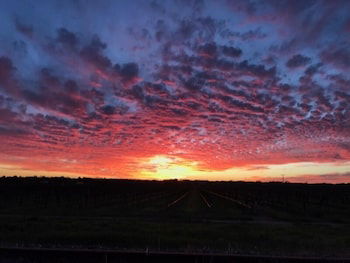 Barossa House - Tourism Brisbane 4