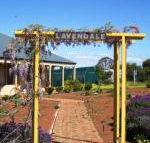 Lavendale Farmstay  Cottages York - Brisbane 4u
