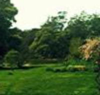 Birdwing Bed  Breakfast Weegena - Brisbane 4u