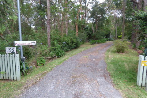 Werekataba - Brisbane Tourism 1