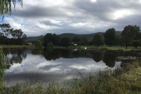 Glenlowren - Tourism Brisbane 3