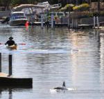 Sunsea Waterfront South Yunderup - Brisbane 4u