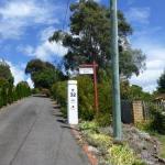 Protea Hill - Tourism Brisbane 0