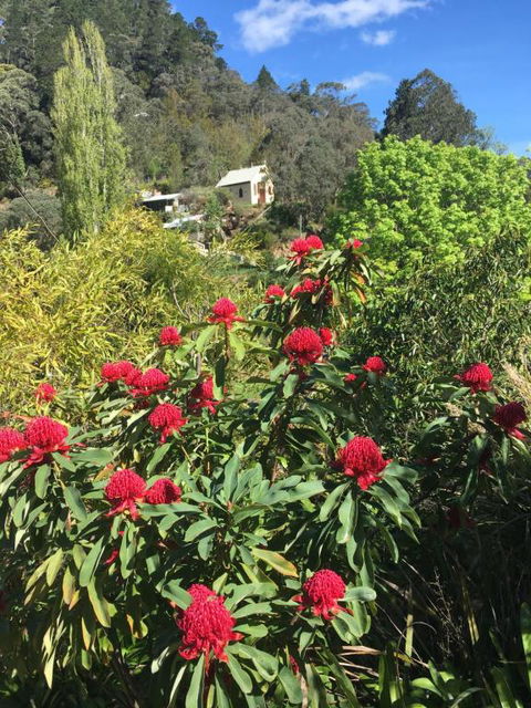 Stringers Cottage - Tourism Brisbane 1