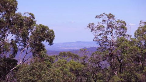 Ravensbourne Escape Cedar Lodge - Tourism Brisbane 5