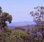 Ravensbourne Escape Cedar Lodge - Brisbane Tourism
