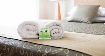 Capella Coach Inn - Brisbane 4u 2