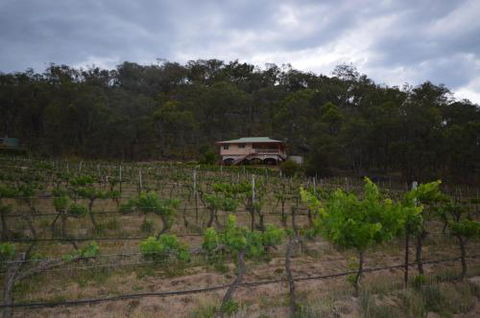 Sancerre Estate - Brisbane Tourism 6