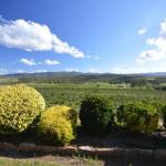 Sancerre Estate - Brisbane Tourism 0
