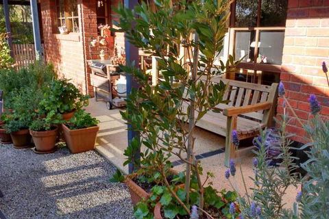 Roseneath Villa B & B - Tourism Brisbane 2