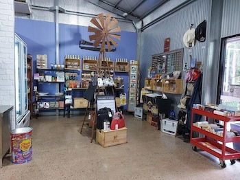 Litchfield Tourist Park - Campground - Brisbane 4u 2