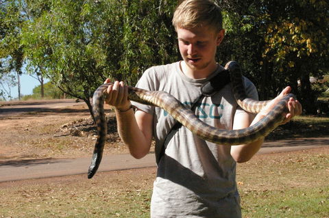 AAOK Lakes Resort & Caravan Park - Brisbane Tourism 5