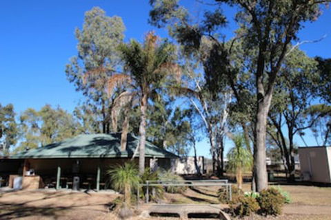 AAOK Jandowae Accommodation Park - Tourism Brisbane 0