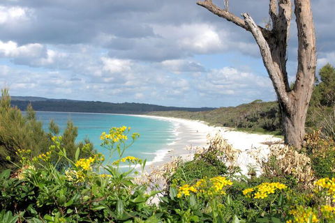 Walters Holiday Flats - Tourism Brisbane 4