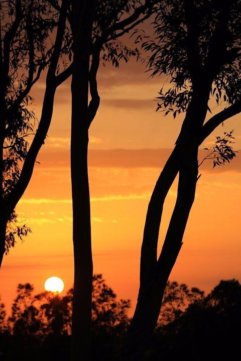 Bella Wind Bed & Breakfast - Tourism Brisbane 3