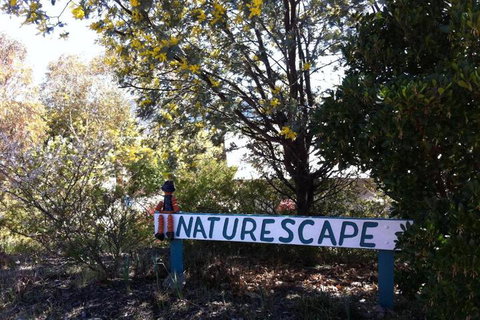 Naturescape - Brisbane Tourism 7