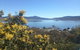 Naturescape - thumb 2