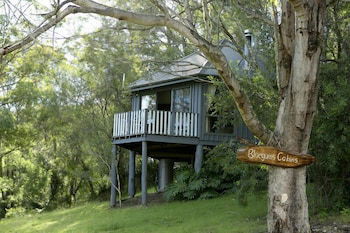 Bluegums Cabins Barrington Tops - Brisbane Tourism 1
