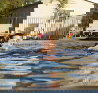 Riverside Cabin Park - Tourism Brisbane