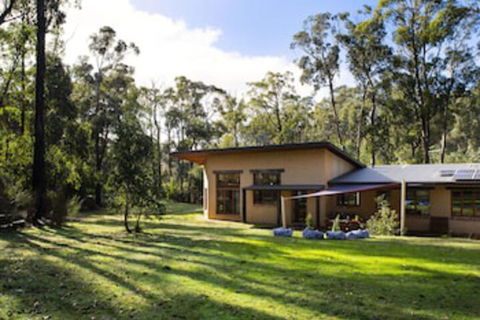 Gumtree Spring - Tourism Brisbane 0