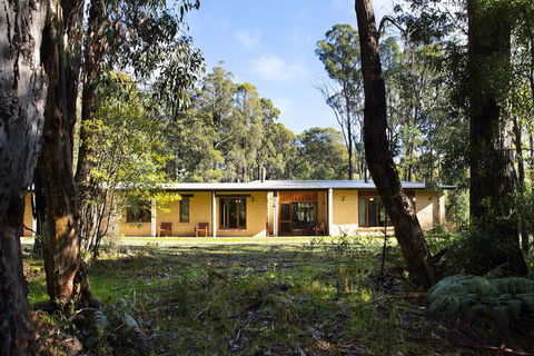 Gumtree Spring - Tourism Brisbane 4