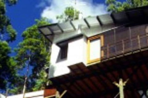 Lyola Pavilions In The Forest - Brisbane Tourism 1