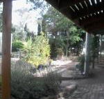 Friends in Harcourt North - Tourism Brisbane