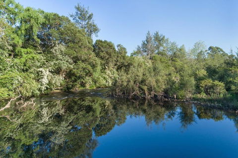Barrington Riverside Cottages - Tourism Brisbane 1