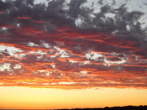 On The Deck @ Shark Bay - Brisbane Tourism 6