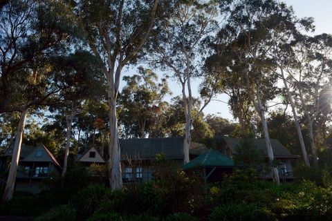 Great Ocean Road Cottages - Tourism Brisbane 1