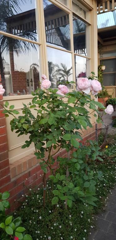 Oxford Rise Apartment - Brisbane Tourism 5