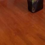 Oxford Rise Apartment - Brisbane Tourism 0