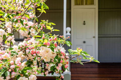 Apple Blossom Cottage - Tourism Brisbane 0